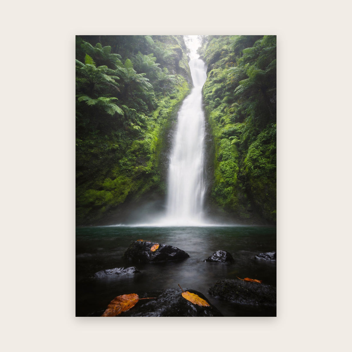 Affiche nature au rendu photo : haute cascade blanche dans une gorge couverte de mousse et de fougères, rochers noirs et feuilles jaunes