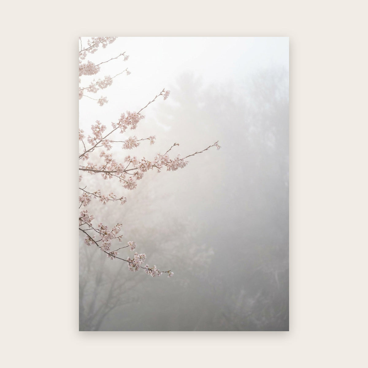 Tableau cerisier japonais : branches en fleur rose pâle entrant par la gauche dans un brouillard matinal blanc et gris