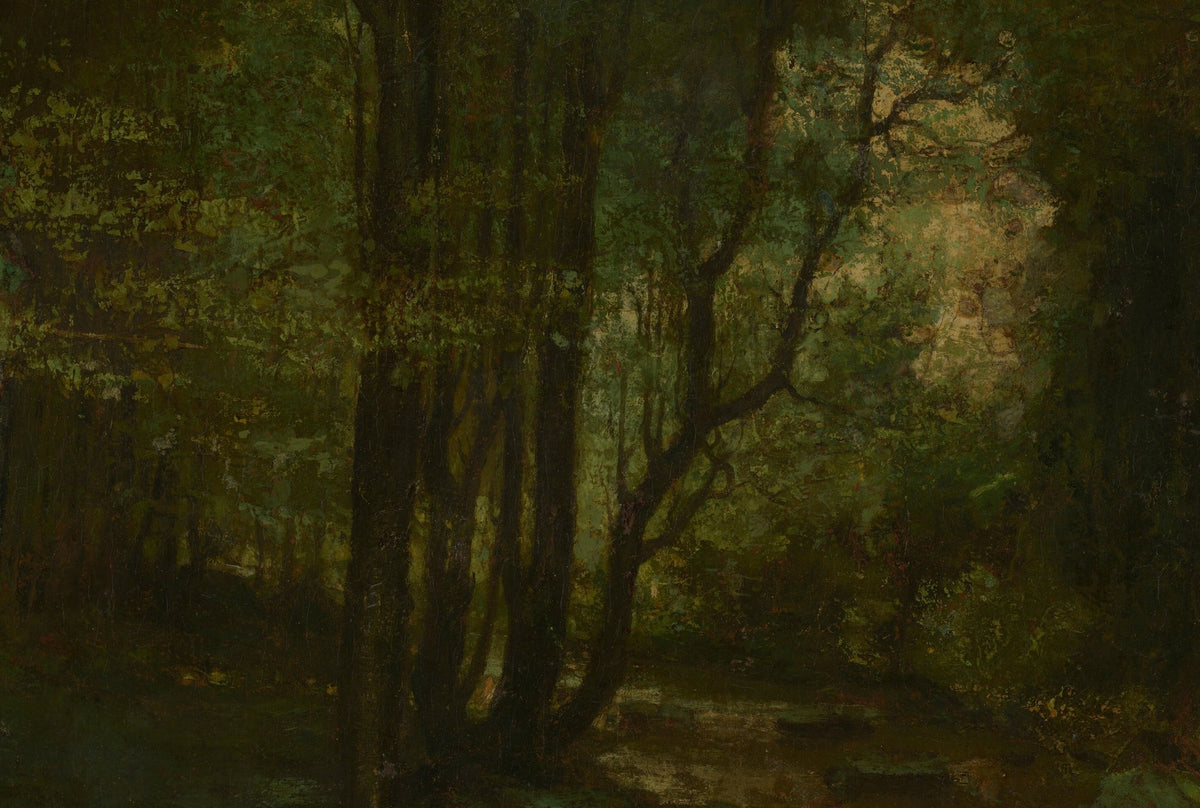 Détail du Ruisseau du Puits-Noir (Courbet) : troncs élancés et feuillage vert sombre traversé de lumière