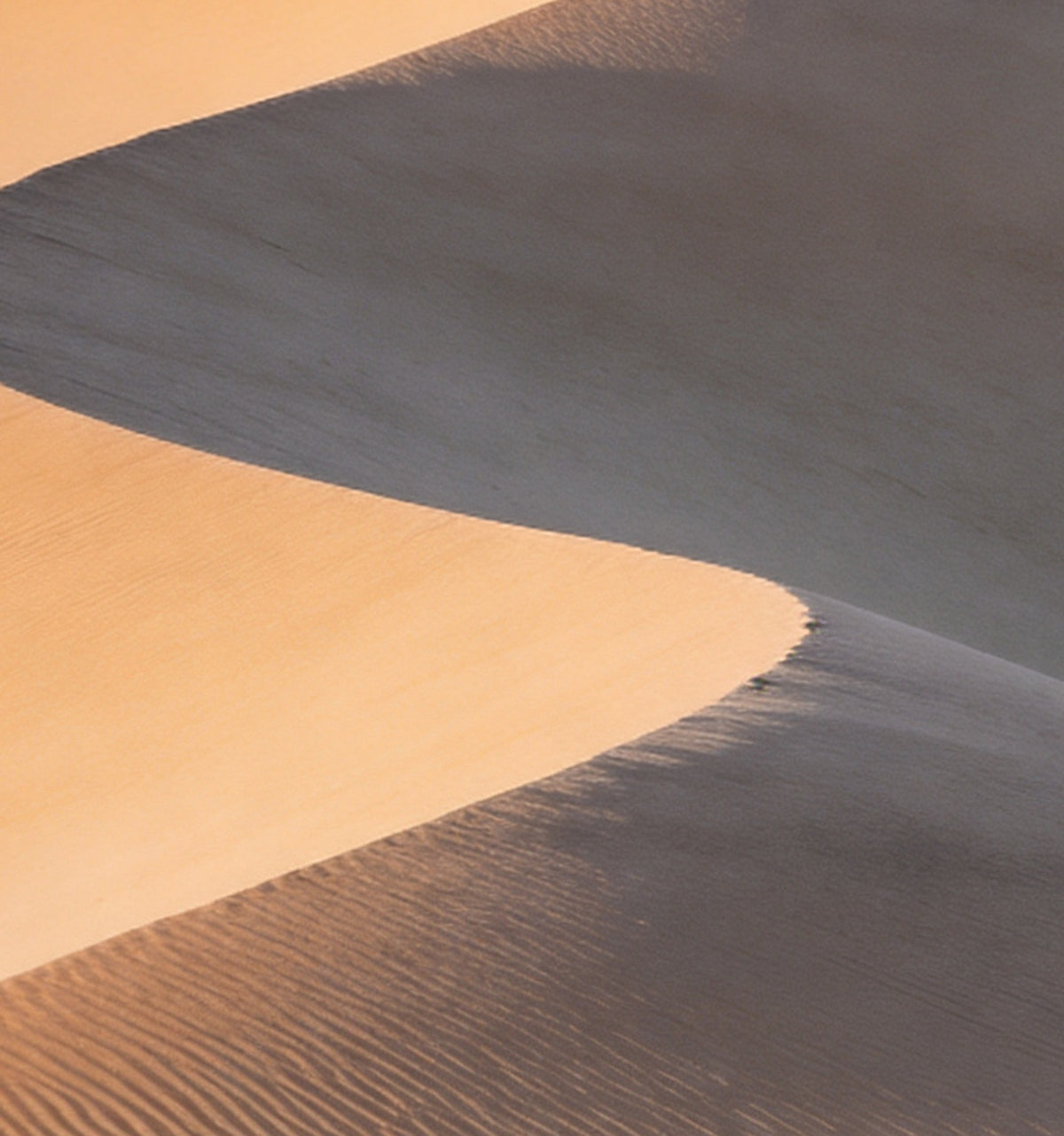 Détail de « Dunes pâles » : crête de dune entre lumière et ombre