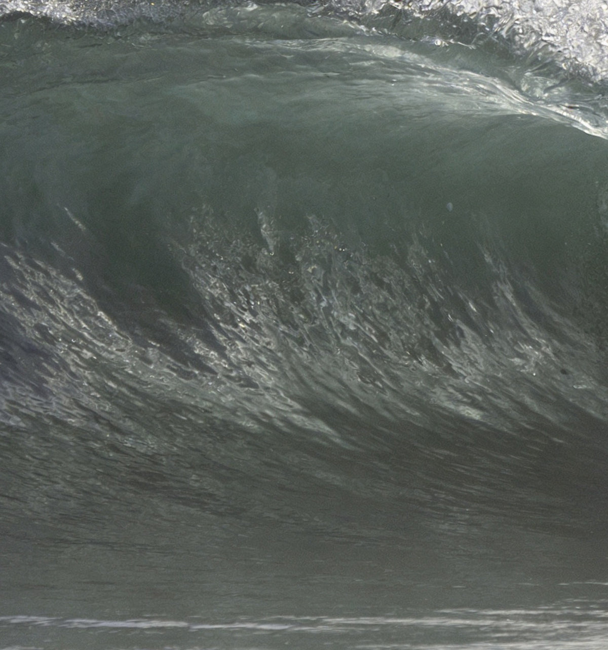 Détail : la paroi gris-vert de la vague, lisse et ridée de reflets