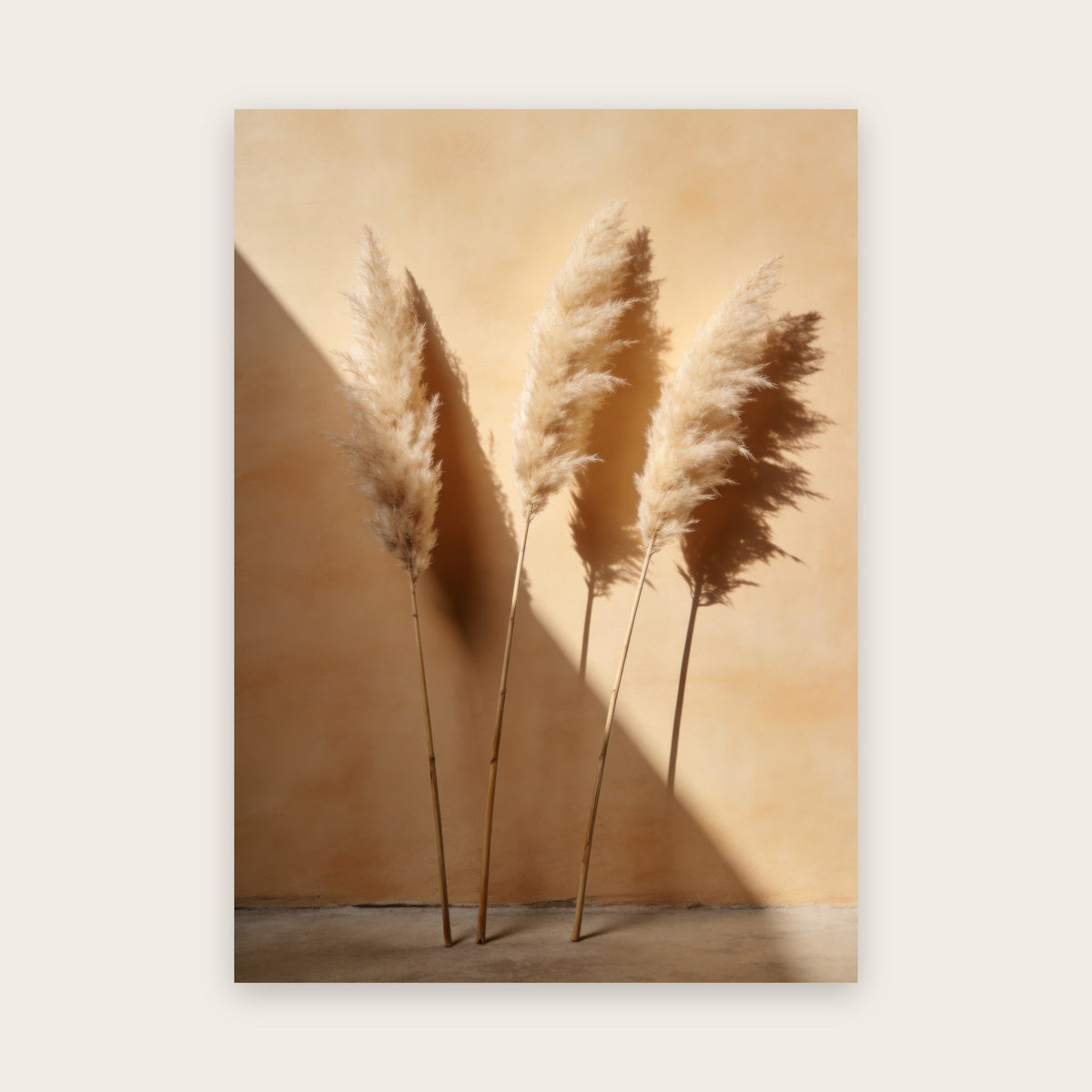 Affiche japandi au rendu photo : quatre plumets d’herbe de pampa crème et leurs ombres sur un mur ocre clair