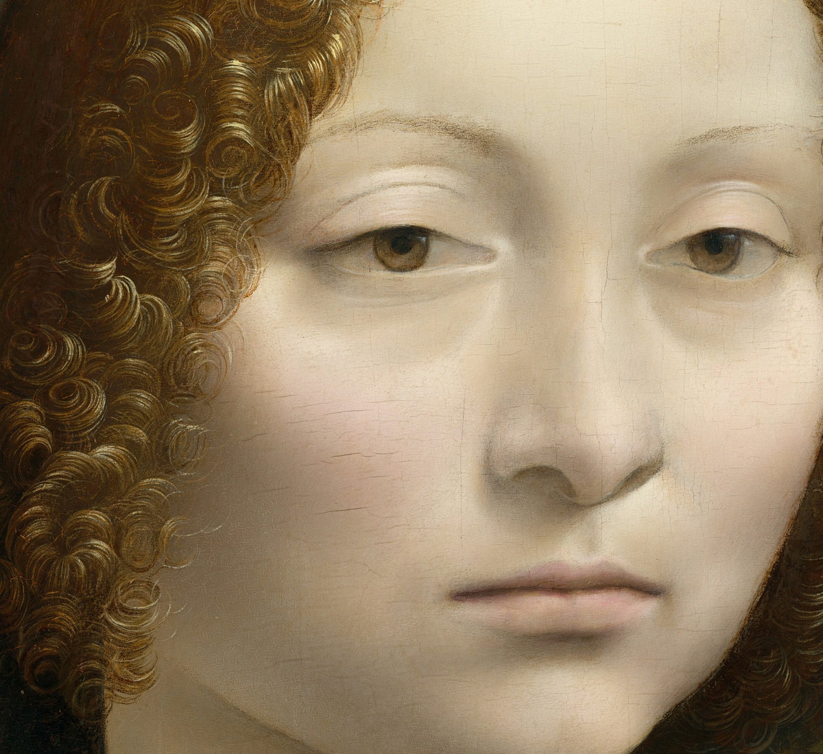 Détail du Portrait de Ginevra de' Benci (Léonard de Vinci) : visage pâle, yeux bruns et boucles auburn