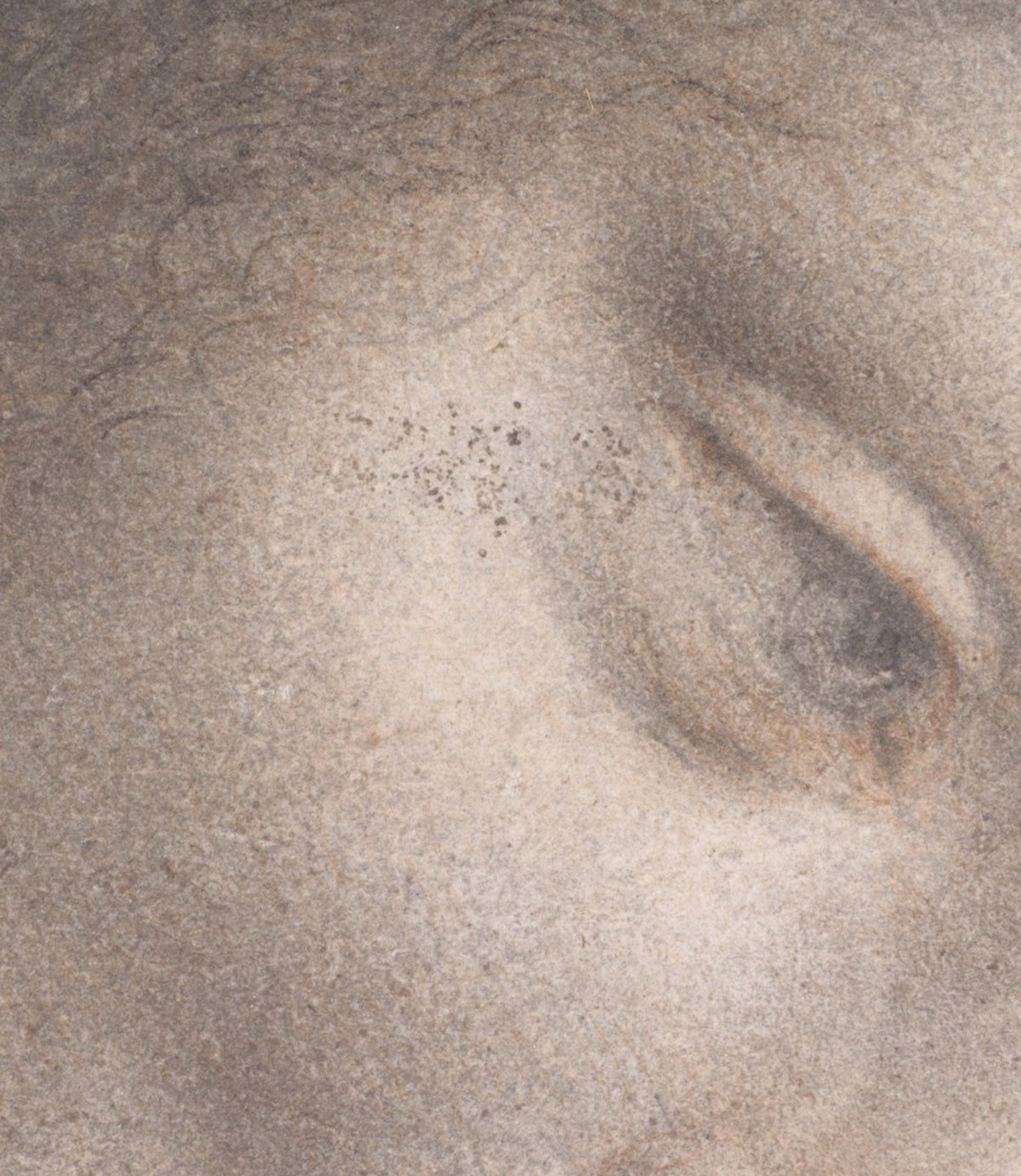 Détail de la Tête de la Vierge (Léonard de Vinci) : paupière baissée, modelé estompé à la pierre noire et touches de sanguine