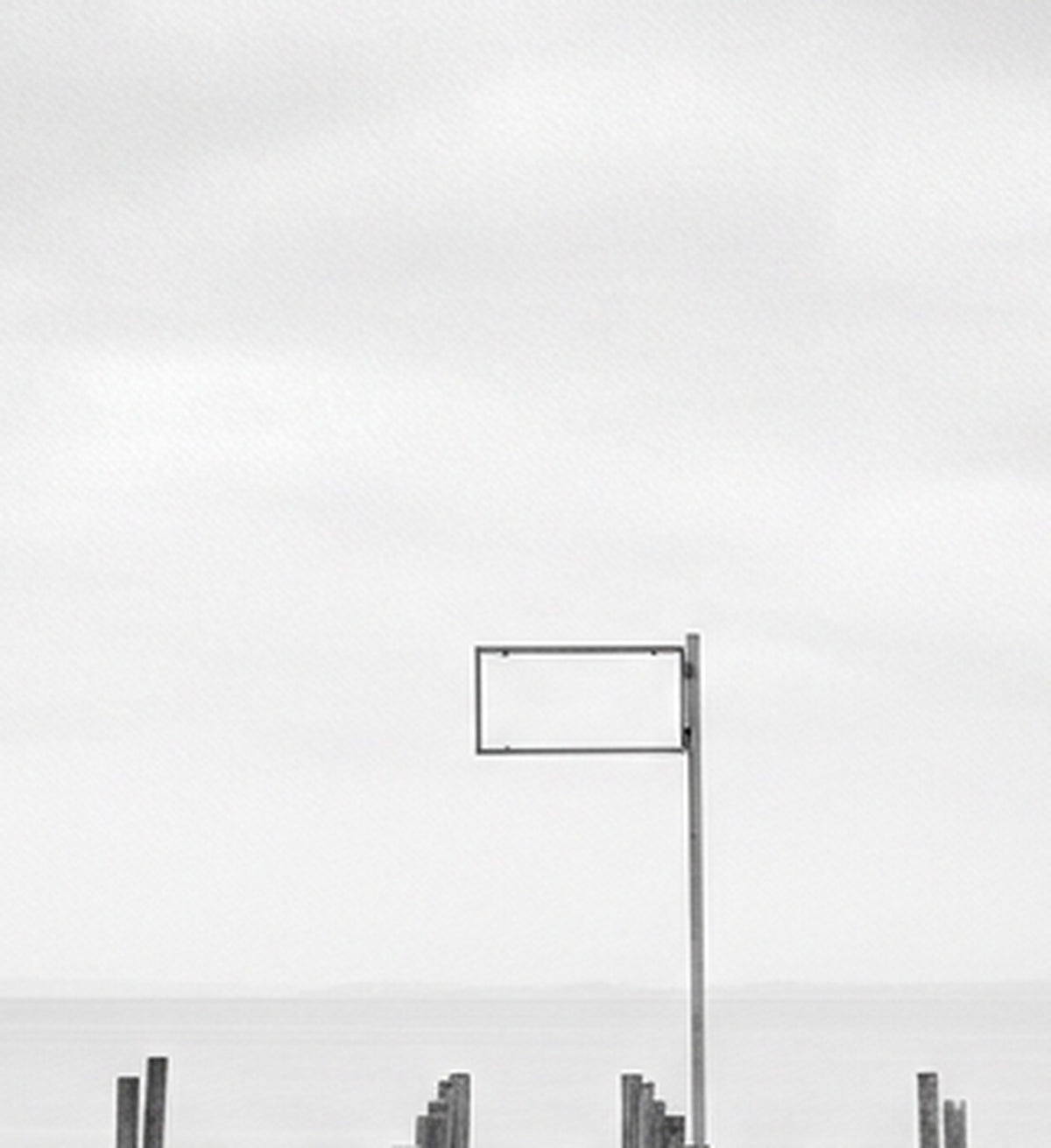 Détail de l'œuvre Ligne d'horizon