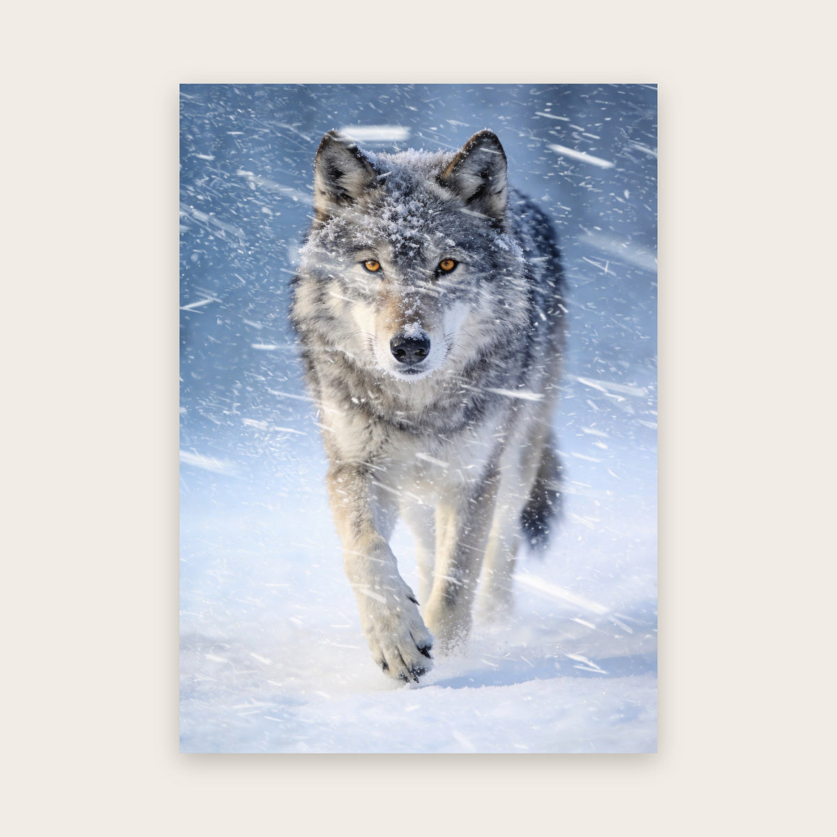 Affiche nature au rendu photo : loup gris aux yeux ambrés marchant face à l’objectif dans une tempête de neige