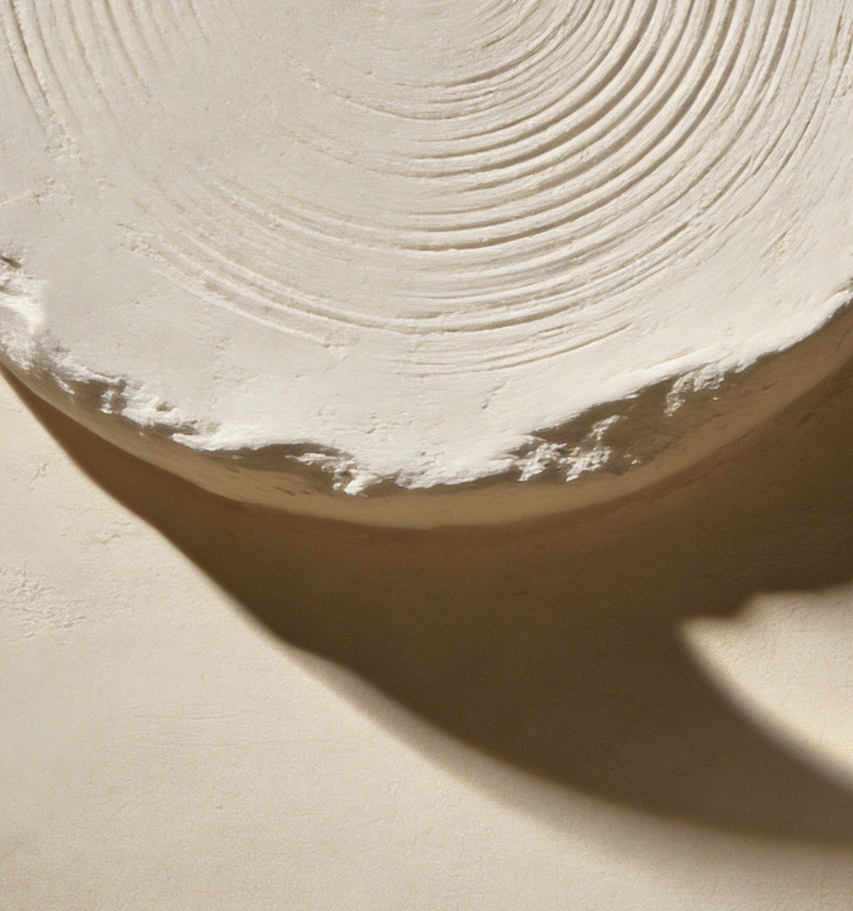 Détail de « Lune de plâtre » : sillons concentriques du disque et ombre portée