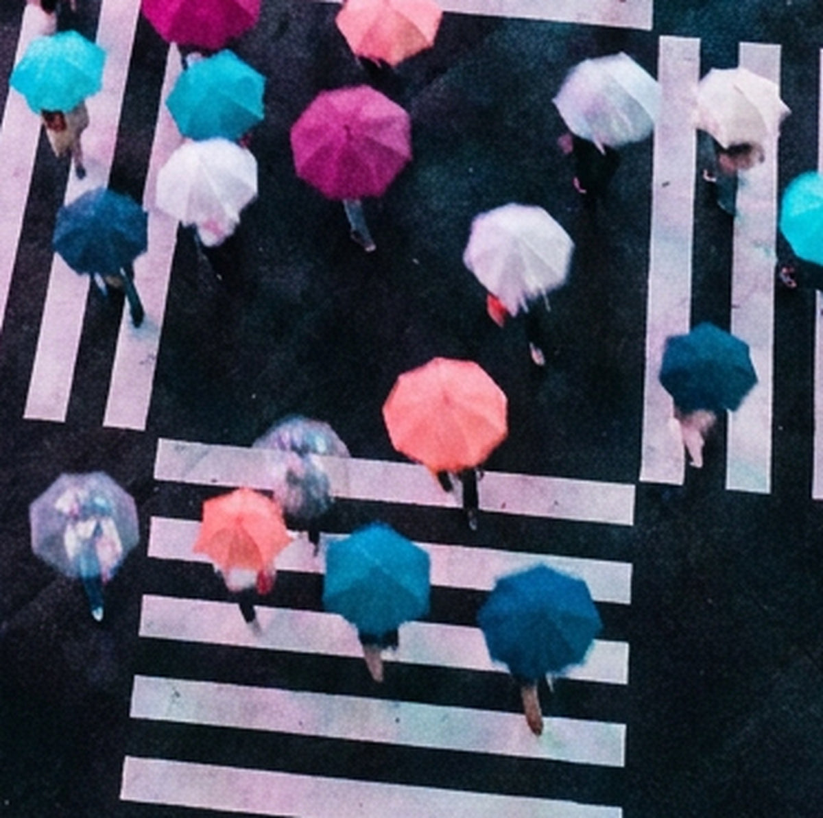 Détail de l'œuvre Neon Crossing
